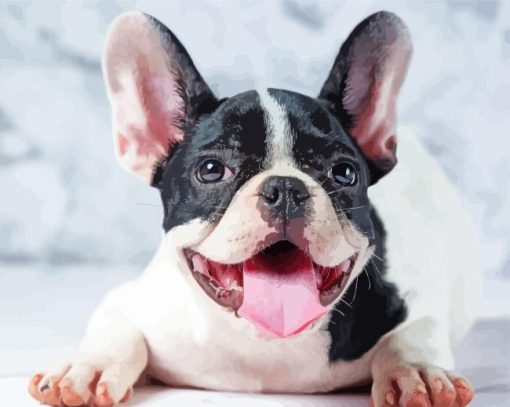 Black And White French Bulldog Smiling paint by number