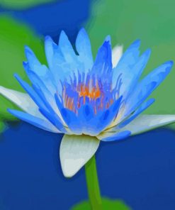 Blue Water Lily Flower In Water paint by number