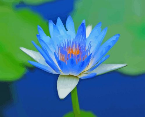 Blue Water Lily Flower In Water paint by number