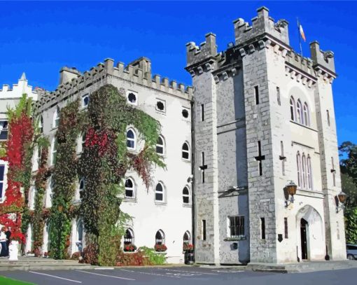 Cabra Castle paint by number