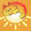 Cat Sleeping On Sun Art Paint by number