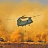 Chinook Military Aircraft paint by number