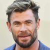 Chris Hemsworth Australian Actor By Painting With Number