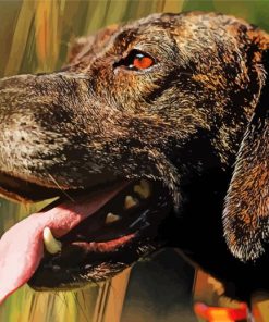 Close Up Plott Hound Side Profile paint by number