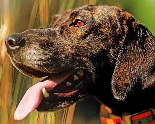 Close Up Plott Hound Side Profile paint by number