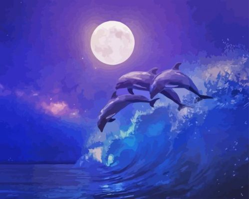 Dolphins At Night Paint by number