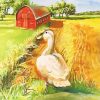 Duck And Farm paint by number