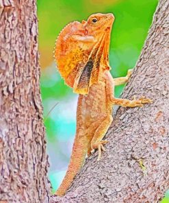 Frilled Lizard On Tree paint by number