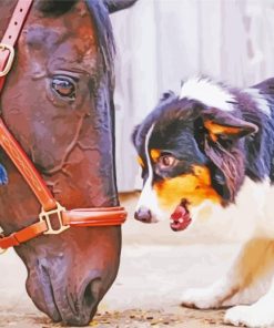 Horse With Mini Aussie paint by number