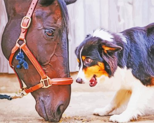 Horse With Mini Aussie paint by number