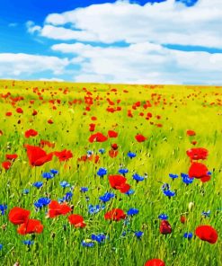 Meadow With Red Flowers paint by number