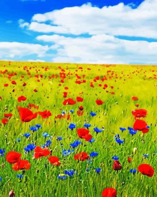 Meadow With Red Flowers paint by number