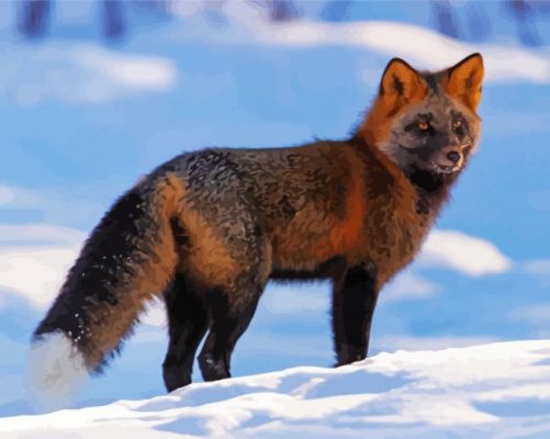 Melanistic Fox In Snow paint by number