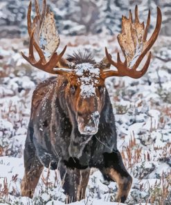 Moose In Winter Diamond Painting