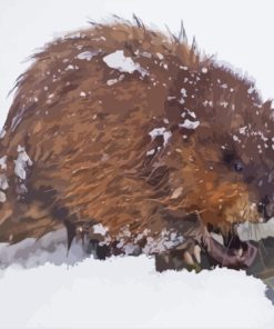 Muskrat In Snow Paint by number