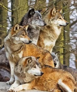 Pack Of Wolves paint by number