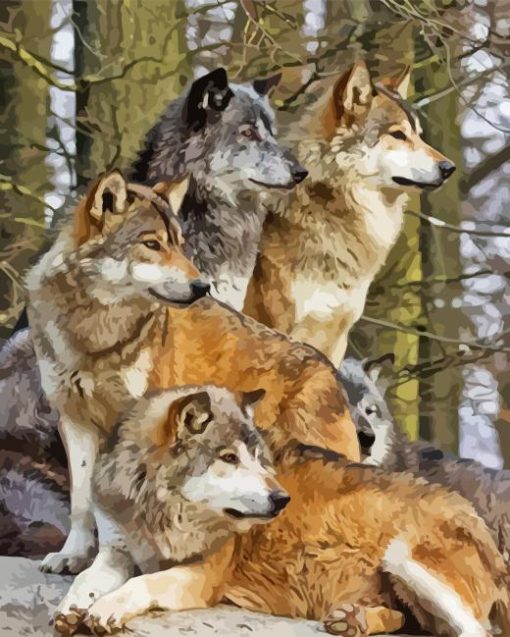 Pack Of Wolves paint by number