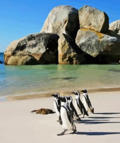 Penguins On The Beach paint by number