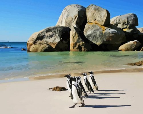 Penguins On The Beach paint by number