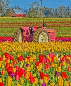 Pink Tractor In Tulips Meadow paint by number