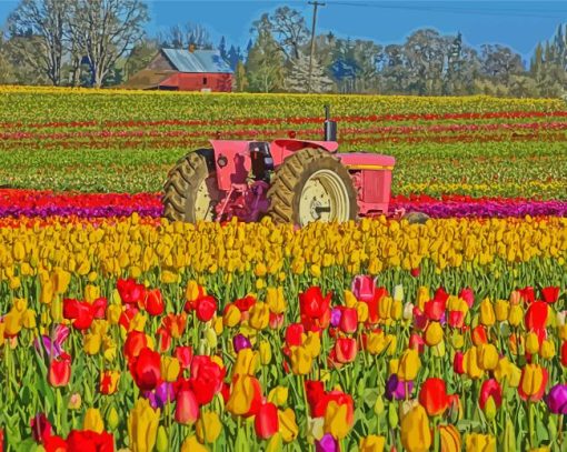 Pink Tractor In Tulips Meadow paint by number