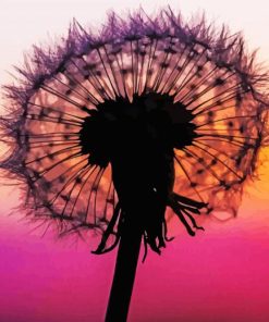 Purple Sunset Dandelion Silhouette Paint by number