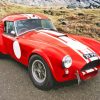 Red Cobra Le Mans Car paint by number