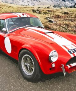 Red Cobra Le Mans Car paint by number