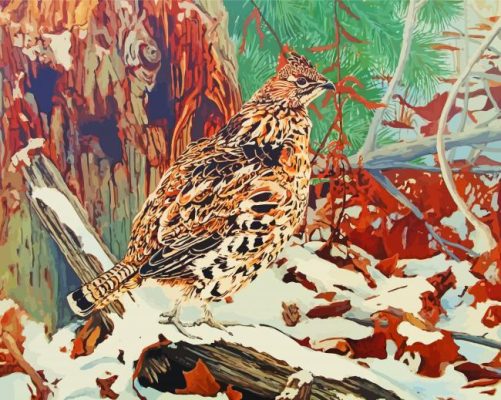 Ruffed Grouse Bird paint by number