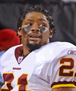 Sean Taylor paint by number