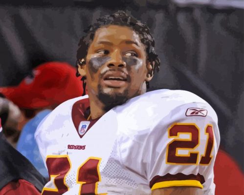 Sean Taylor paint by number