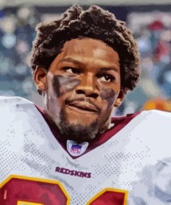 Sean Taylor Paint by number