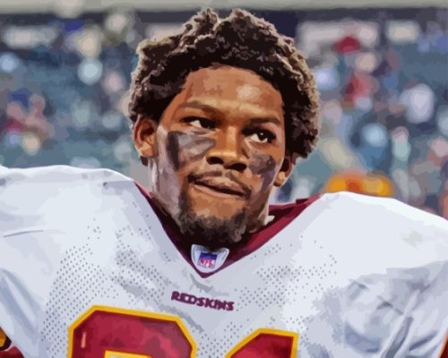 Sean Taylor Paint by number