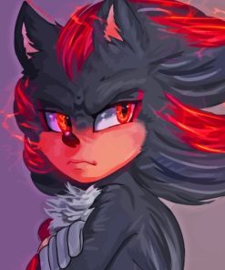 Shadow Hedgehog Paint by number