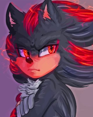 Shadow Hedgehog Paint by number