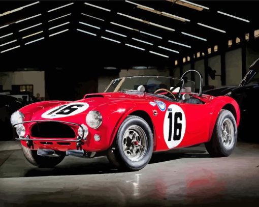 Shelby Cobra Car Paint by number