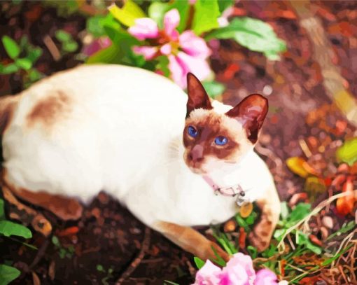 Siamese Oriental Cat With Pink Flowers Paint by number