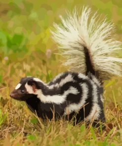 Skunk Paint by number