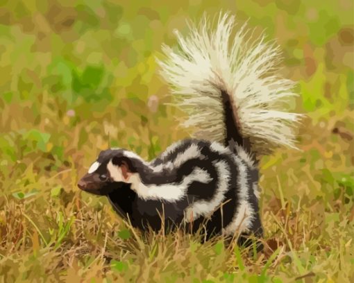 Skunk Paint by number