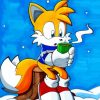 Tails The Hedgehog And Coffee Paint by number