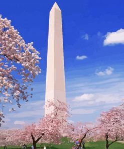 The Washington Monument Cherry Blossom paint by number