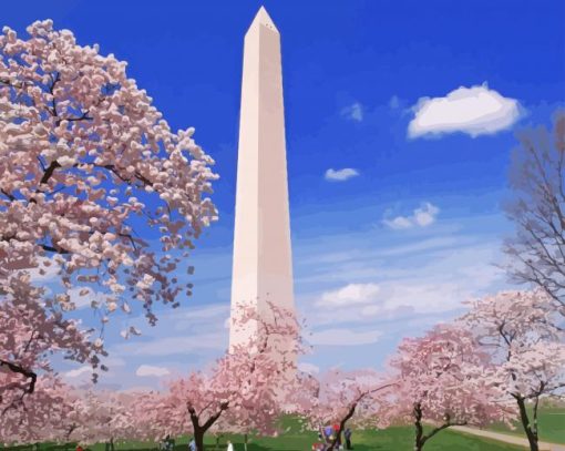 The Washington Monument Cherry Blossom paint by number