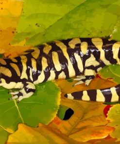 Tiger Salamander Amphibian Paint by number