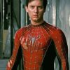 Tobey Maguire Spider Man paint by number