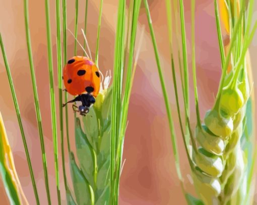 Wheat And Ladybug paint by number