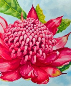 Aesthetic Waratah paint by number