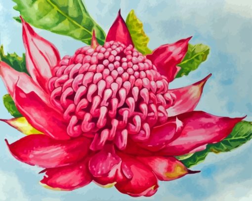 Aesthetic Waratah paint by number