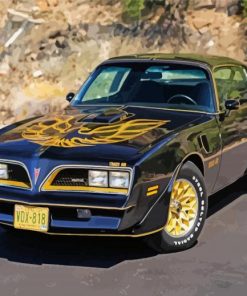 Black 1977 Firebird Paint by number