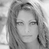 Black And White Sophia Loren Paint by number