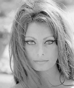 Black And White Sophia Loren Paint by number